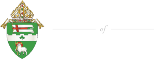 Diócesis de Paterson